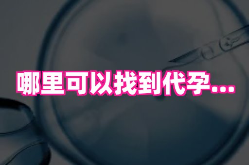 北京助孕网 1