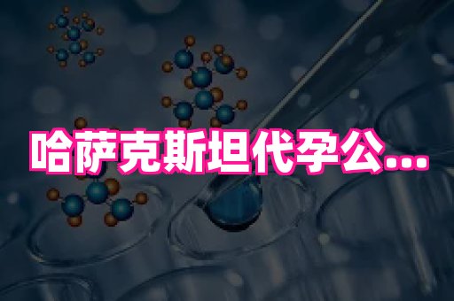 北京助孕网 2