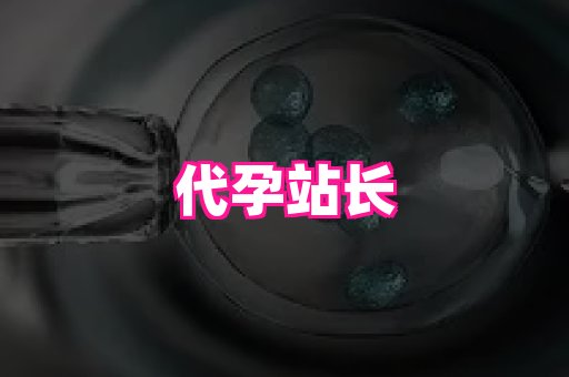北京助孕网 4